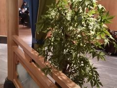 -百姓渔村(南中环店)