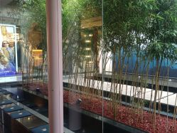 -爱儿美儿童摄影(朝阳公园店)