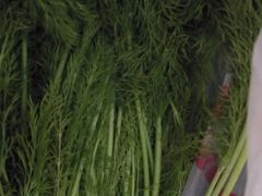 茴香-家辉生鲜超市(东五路店)