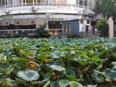 -上海市龙华烈士陵园