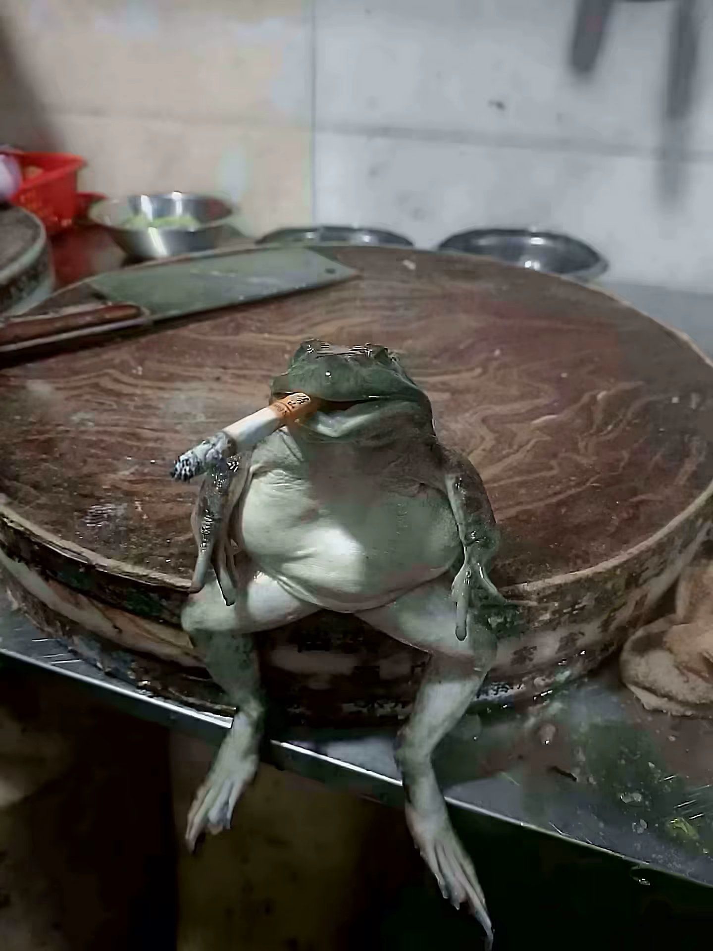 带着我家蛙哥去吃牛肉火锅,回到家里抽了8包烟