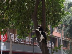 -华兴街自力面店