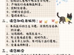 -尚品国际幼儿园(大东园)