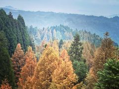 -山王坪喀斯特国家生态公园