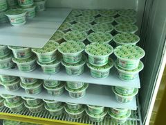 -德禄酸奶(莫家街店)