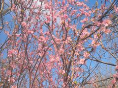 -北运河水利风景区