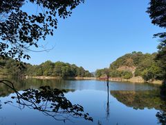 -广州市石门国家森林公园