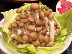 -南门涮肉(北洼路店)