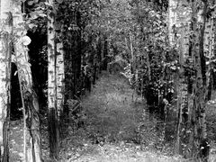 -野鸭湖国家湿地公园