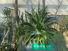 -南山植物园
