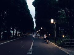 -南宁南湖公园