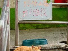 -大益烤鸡