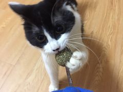 -哆趣宠物医院·眼科·内镜·急重症转诊中心(上海店)