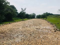 -盘龙城国家考古遗址公园