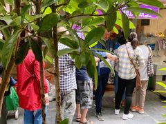 门口有大叔限行-璐坊粽王(复兴中路店)