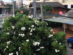 -Dash Teak House