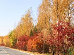 -野鸭湖国家湿地公园