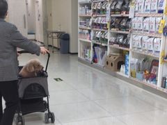 -美联众合动物医院·24h京西诊疗中心