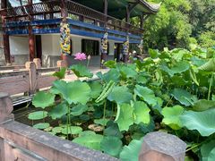 -房湖公园