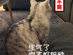 -蒙土乡铁锅焖面(东河店)