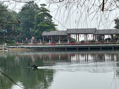 -广州市帽峰山景区