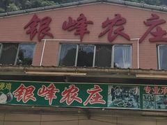门面-银峰农庄·特色烧鸡·鲜无花果浸鸡