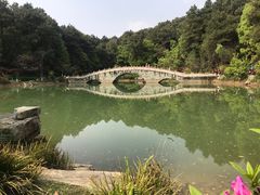 -铁山坪森林公园