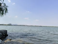 -南湖国家城市湿地公园
