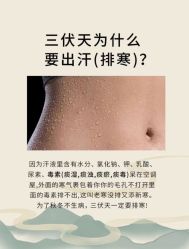 -雅曼妮spa美容养生