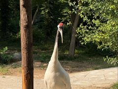 -石家庄市动物园