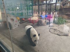 -石家庄市动物园