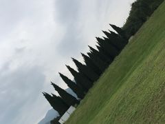-秦始皇帝陵博物院-丽山园