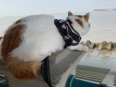 -灌篮高手动画打卡地