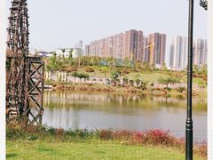 -枫香湖儿童公园