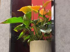 -闫府私房菜·老字号(恒隆店)