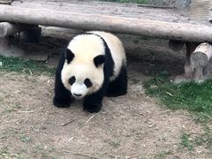 -野生动物园-停车场