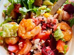 -油梨树AVOCADO TREE(顺义新国展店)