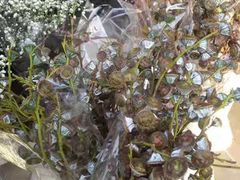 -三圣花乡旅游区