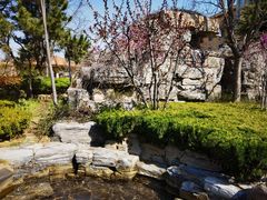 -青岛香根温泉酒店
