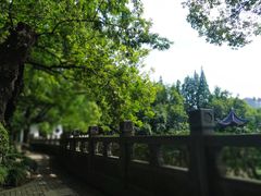 -汇龙潭