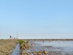 -南汇嘴观海公园