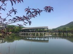-石塘人家