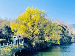 -杭州半山国家森林公园