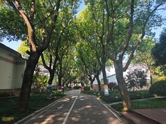 -同里湖度假村(二期店)