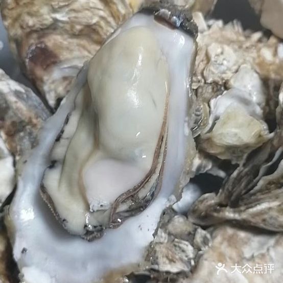 蚝门音乐烤吧(笏石店)