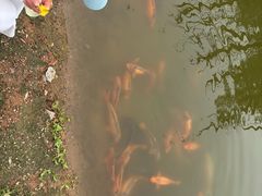 -沈阳植物园