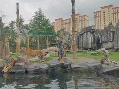 -上海野生动物园