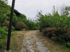-同里国家湿地公园