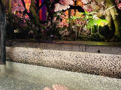 -海口观澜湖火山温泉谷