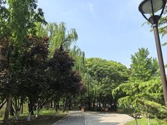 -元大都城垣遗址公园